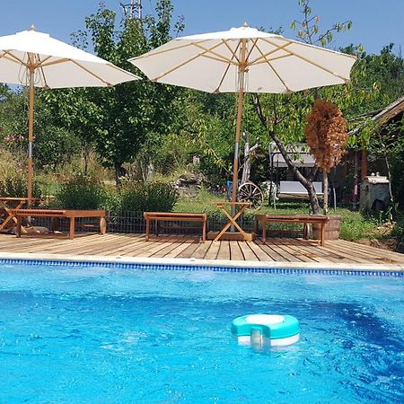 Къща За Гости Каза Роза - Swiss Style Chalet Casa Rosa Guest House Kjustendil Exteriör bild