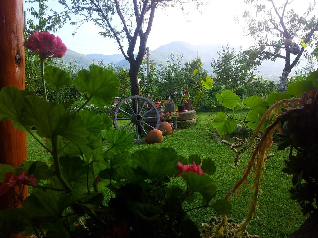 Къща За Гости Каза Роза - Swiss Style Chalet Casa Rosa Guest House Kjustendil Rum bild