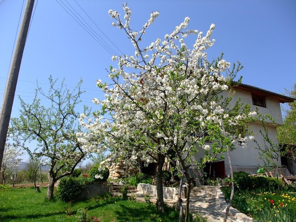 Къща За Гости Каза Роза - Swiss Style Chalet Casa Rosa Guest House Kjustendil Rum bild